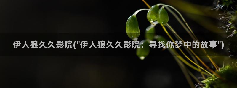 大香萑伊人在合网视频