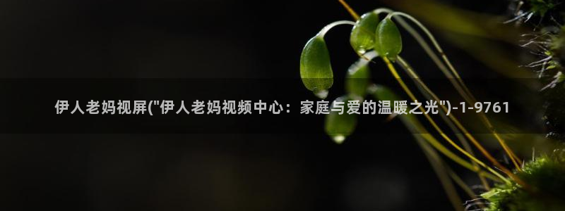 97影院伊人久久综合网