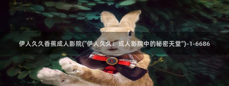 伊人中文无码视屏