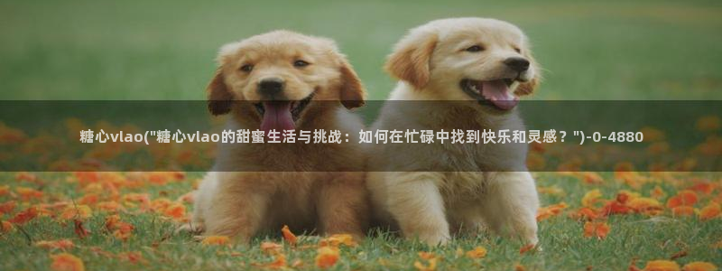 糖心vlog星辰影院：糖心vlao(\