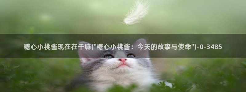 糖心vlog是哪里的：糖心小桃酱现在在干嘛(\