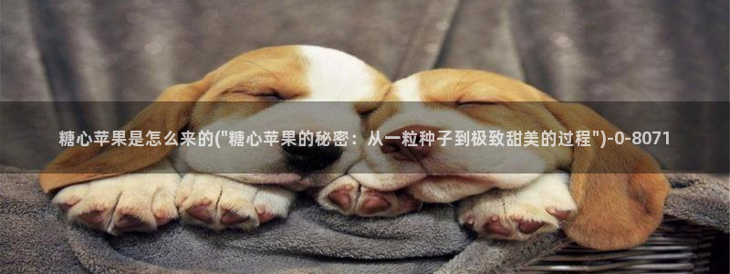 去糖心vlog：糖心苹果是怎么来的(\