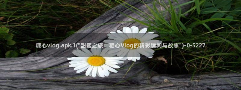 心糖vlog免费下载