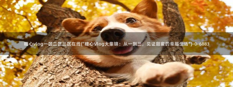 糖心vlog破解版在线