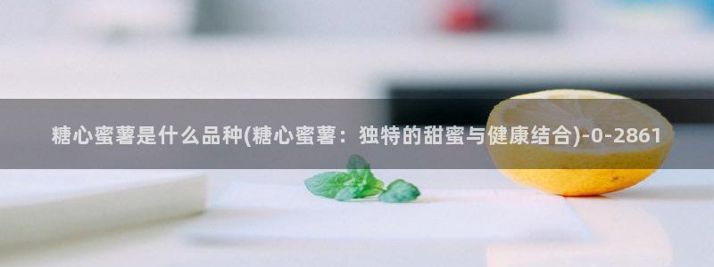 糖心vlog电影